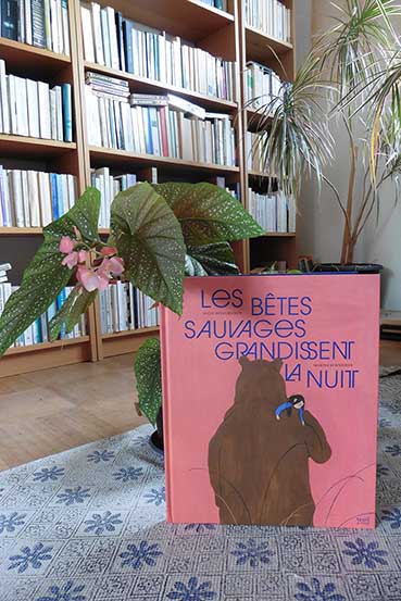 la couverture de l'album Les Bêtes sauvages grandissent la nuit