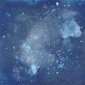 Cyanotype de cosmos
