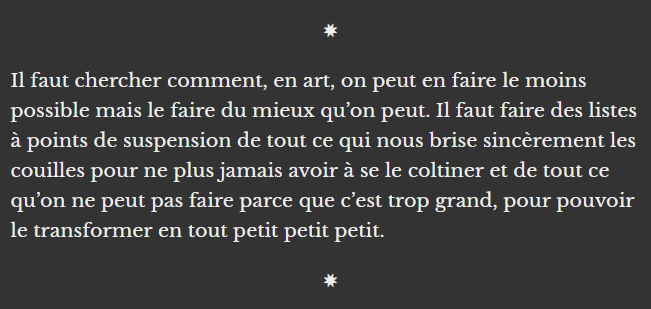 Extrait du texte ça ressemble à du faux II